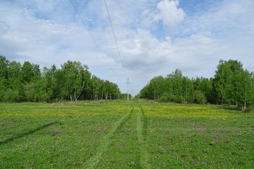 Фото пресс-службы "Хакасэнерго"